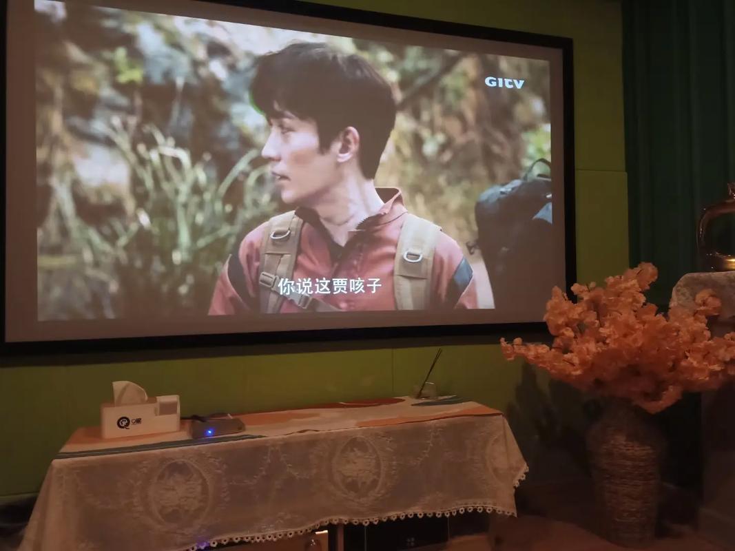 纳鲁影院的相关介绍
