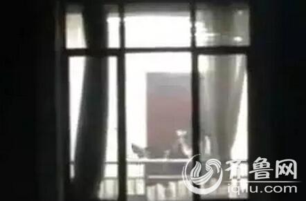 免费的看视频app的相关介绍