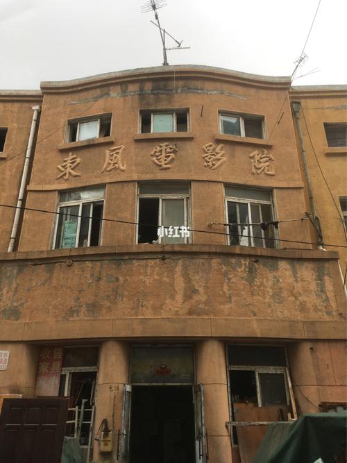 把女生操出白浆的相关介绍