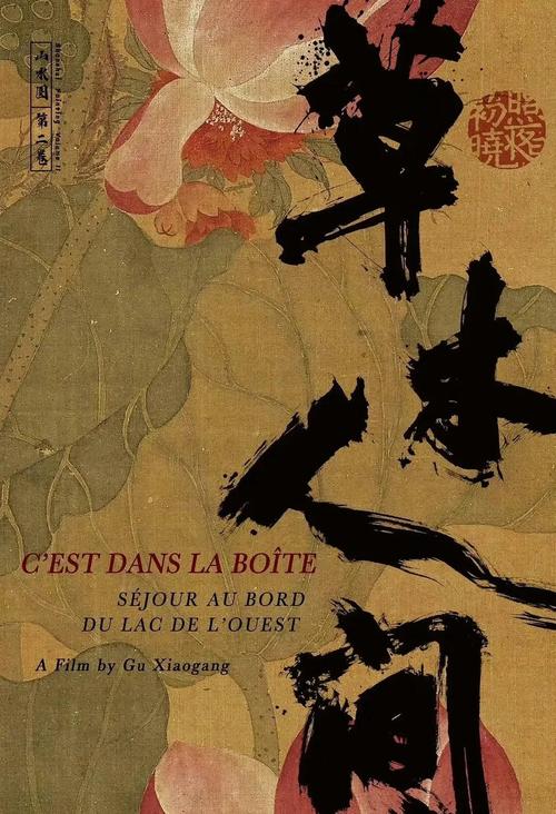 69视频app免费下载的相关介绍